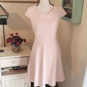 Tommy Hilfiger Blush Knit Dress